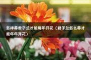 怎样养君子兰才能每年开花（君子兰怎么养才能年年开花）