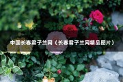 中国长春君子兰网（长春君子兰网精品图片）